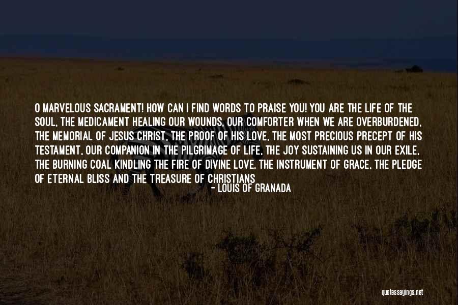 Healing Wounds Quotes By Louis Of Granada Healing Wounds Quotes By Louis Of Granada