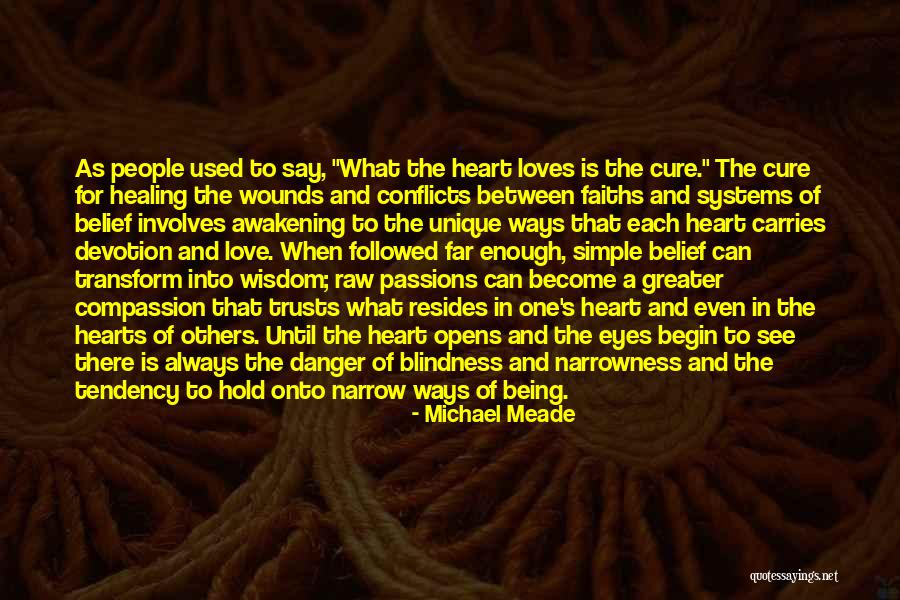 Healing Wounds Quotes By Michael Meade