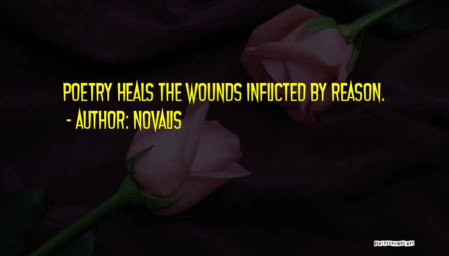 Healing Wounds Quotes By Novalis