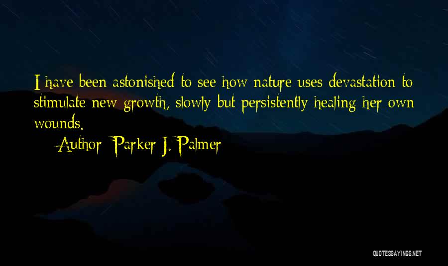 Healing Wounds Quotes By Parker J. Palmer