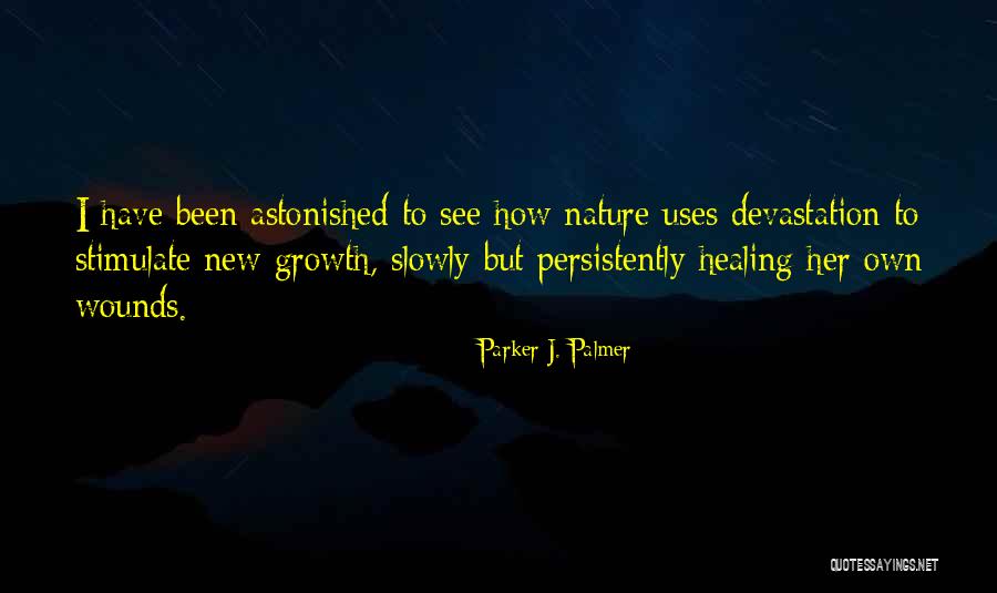 Healing Wounds Quotes By Parker J. Palmer Healing Wounds Quotes By Parker J. Palmer
