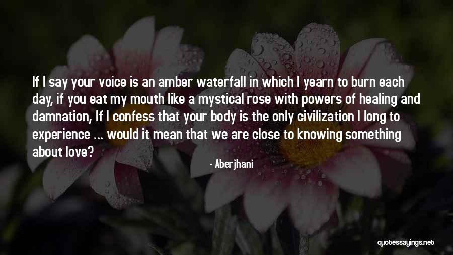 Healing Your Body Quotes By Aberjhani