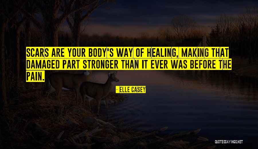 Healing Your Body Quotes By Elle Casey