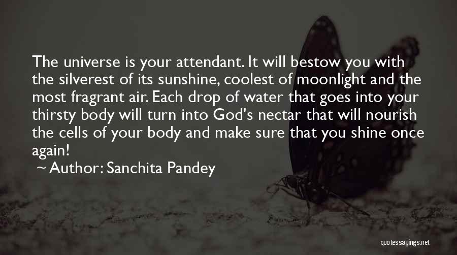 Healing Your Body Quotes By Sanchita Pandey