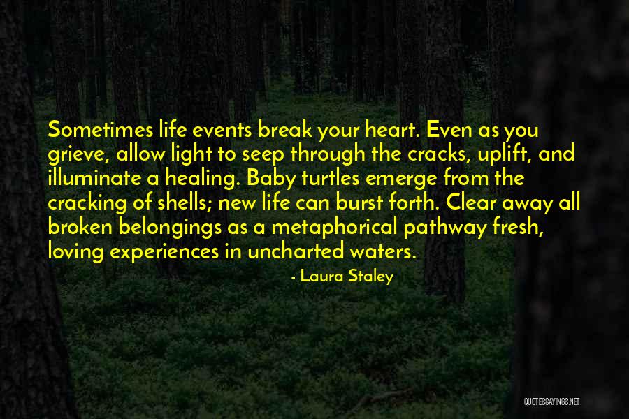 Healing Your Heart Quotes By Laura Staley Healing Your Heart Quotes By Laura Staley
