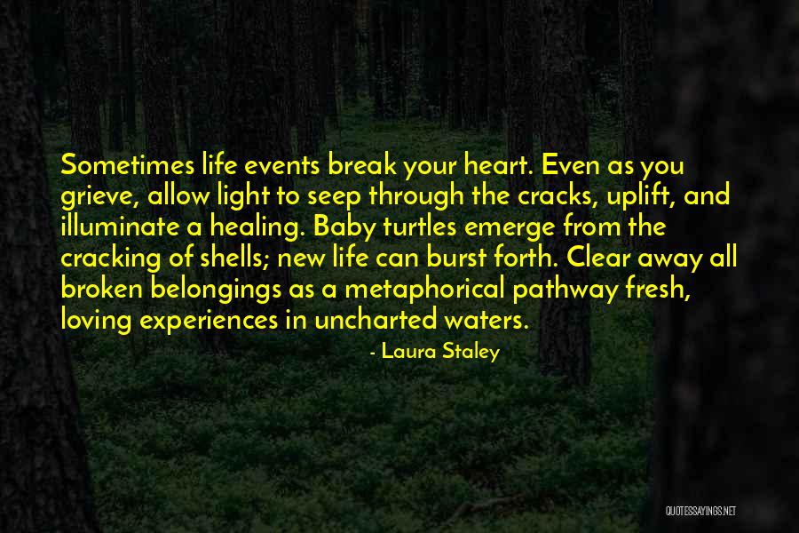 Healing Your Heart Quotes By Laura Staley