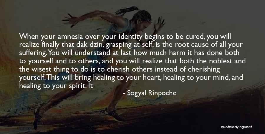 Healing Your Heart Quotes By Sogyal Rinpoche