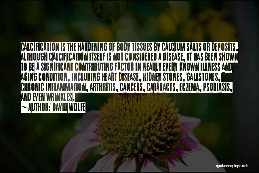 Health Condition Quotes By David Wolfe