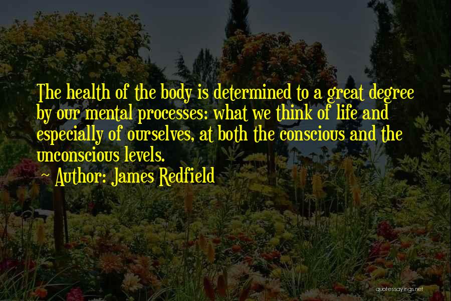 Health Conscious Quotes By James Redfield