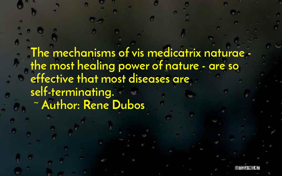 Health Healing Quotes By Rene Dubos