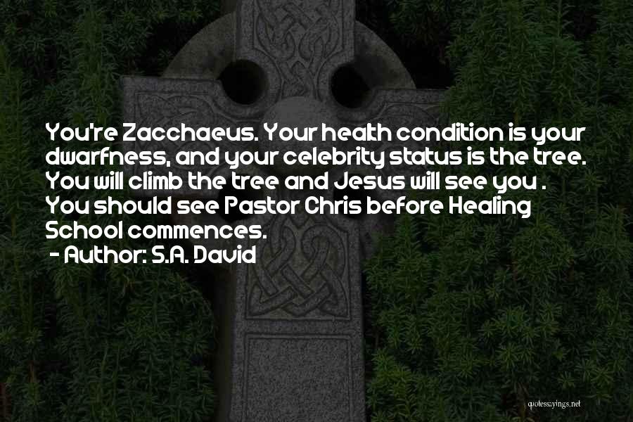 Health Healing Quotes By S.A. David