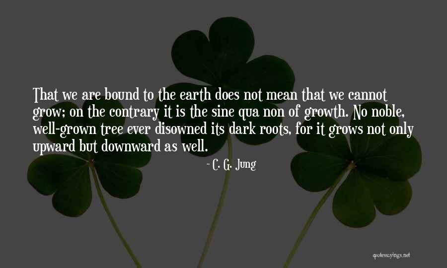 Health Is Not Well Quotes By C. G. Jung