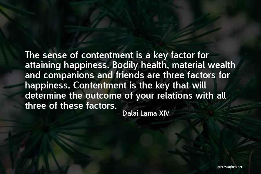 Health Is Wealth Quotes By Dalai Lama XIV