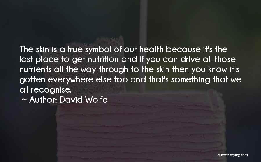 Health Nutrition Quotes By David Wolfe