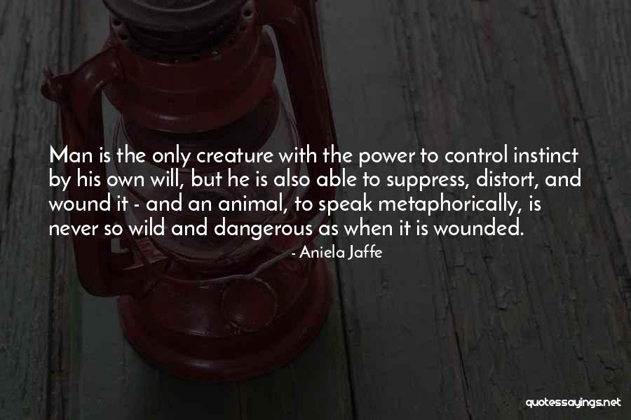 Healthfullcravings Quotes By Aniela Jaffe Healthfullcravings Quotes By Aniela Jaffe