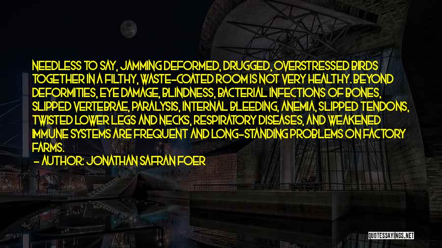 Healthy Bones Quotes By Jonathan Safran Foer