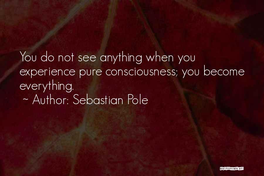 Healthy Detox Quotes By Sebastian Pole