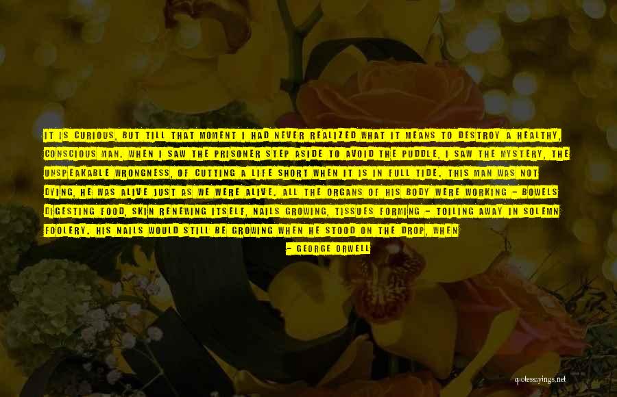 Healthy Food Healthy Body Quotes By George Orwell Healthy Food Healthy Body Quotes By George Orwell