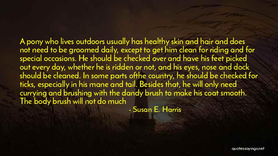 Healthy Hair Quotes By Susan E. Harris