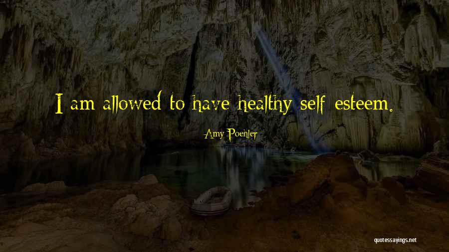 Healthy Self Quotes By Amy Poehler Healthy Self Quotes By Amy Poehler