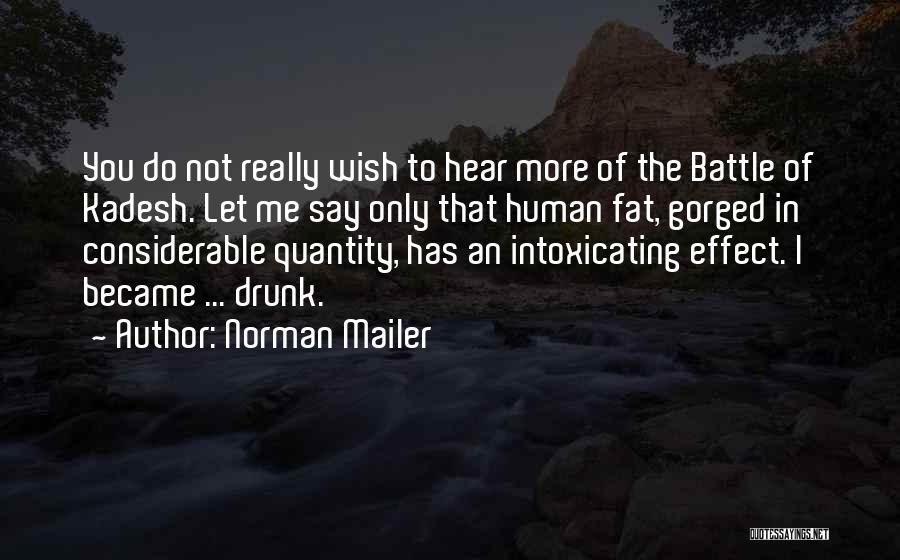 Hear Me Quotes By Norman Mailer