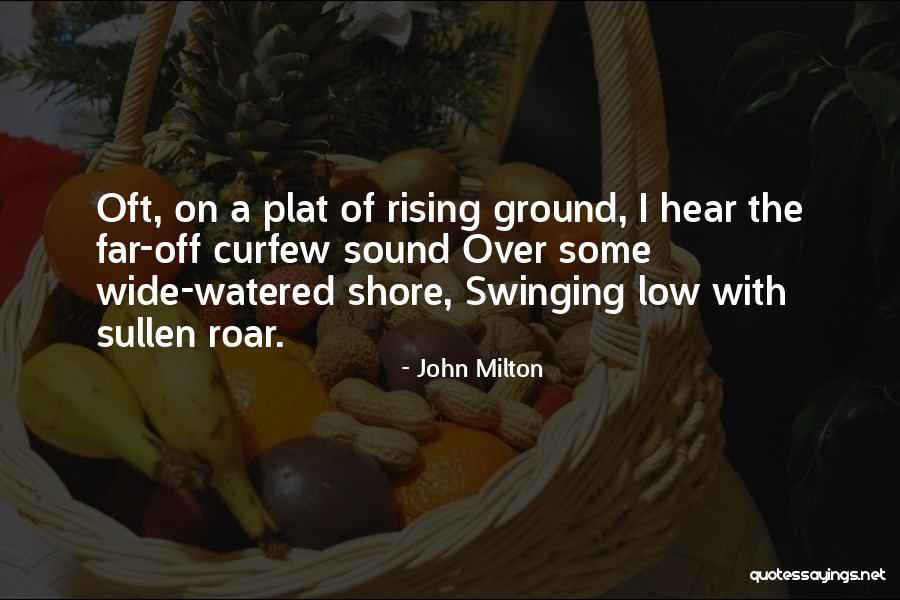 Hear Me Roar Quotes By John Milton Hear Me Roar Quotes By John Milton
