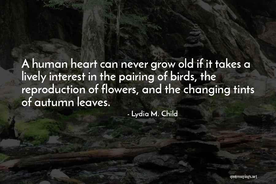 Heart And Flowers Quotes By Lydia M. Child