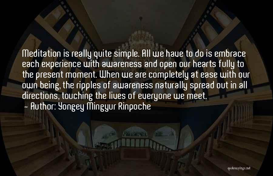 Heart At Ease Quotes By Yongey Mingyur Rinpoche