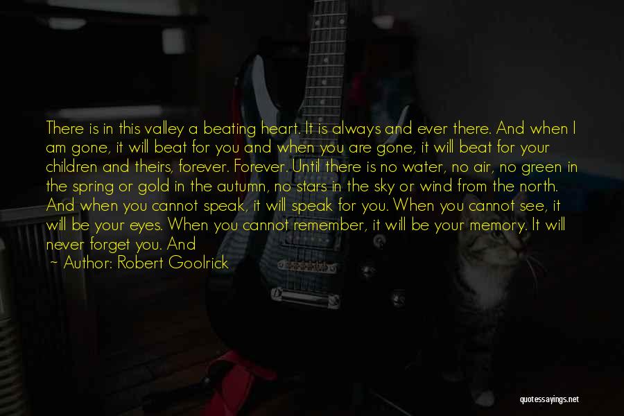 Heart Beat For You Quotes By Robert Goolrick