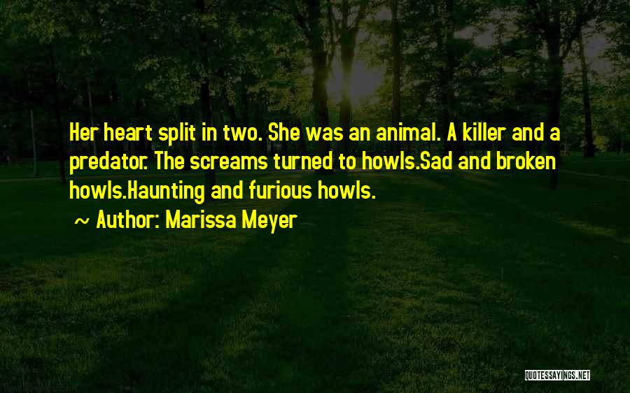 Heart Broken And Sad Quotes By Marissa Meyer