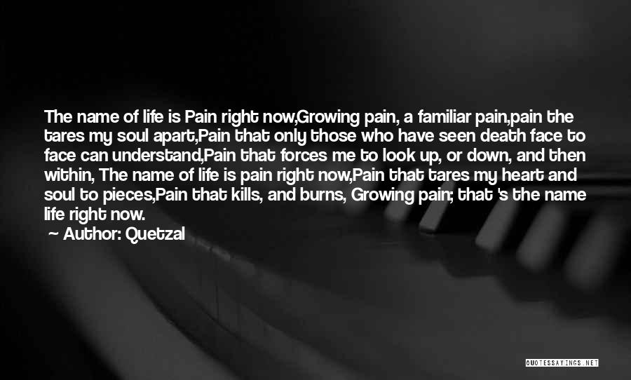 Heart Burns Quotes By Quetzal