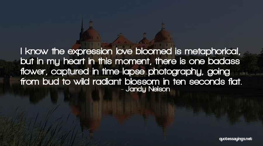 Heart Captured Quotes By Jandy Nelson