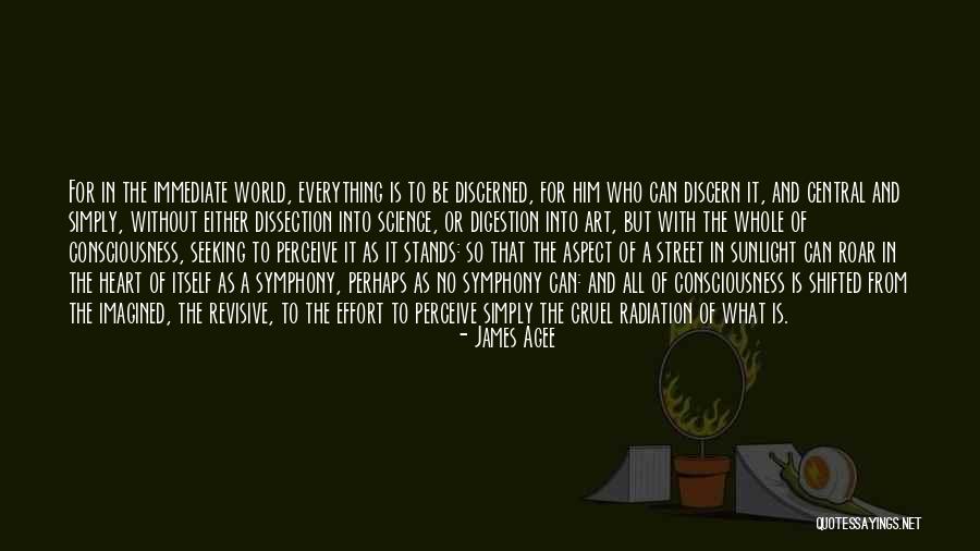 Heart Dissection Quotes By James Agee Heart Dissection Quotes By James Agee