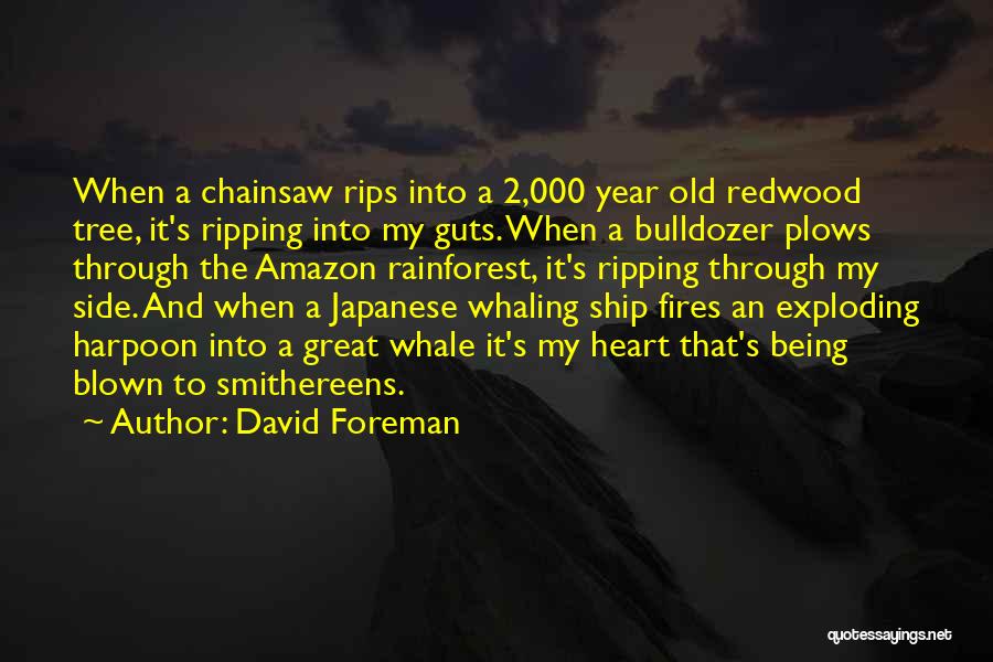 Heart Exploding Quotes By David Foreman