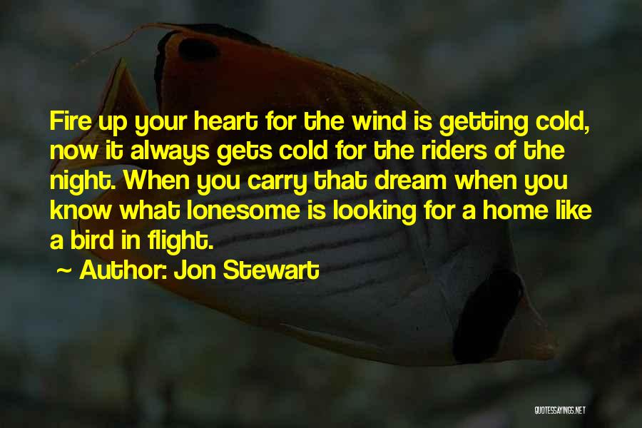 Heart Fire Quotes By Jon Stewart