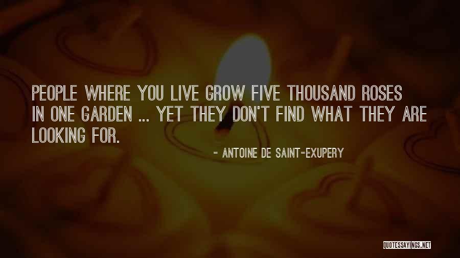 Heart Garden Quotes By Antoine De Saint-Exupery Heart Garden Quotes By Antoine De Saint-Exupery