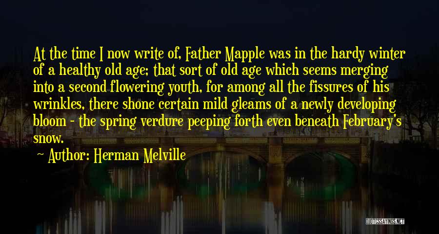 Heart Healthy Quotes By Herman Melville