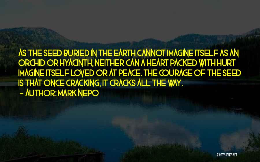 Heart Hurt Quotes By Mark Nepo
