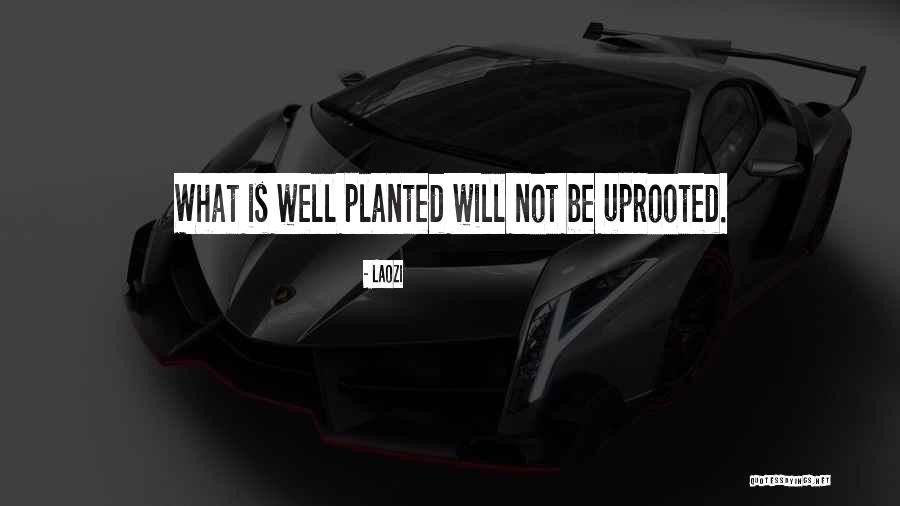 Heart In Lockdown Quotes By Laozi Heart In Lockdown Quotes By Laozi