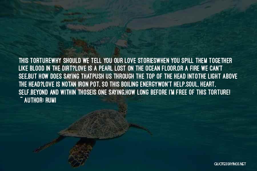 Heart In The Ocean Quotes By Rumi