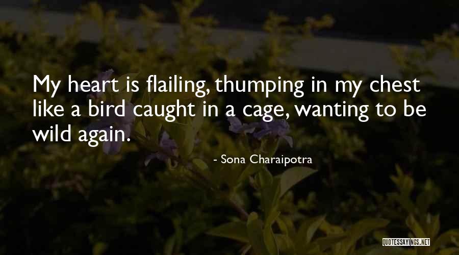 Heart Is A Bird Quotes By Sona Charaipotra Heart Is A Bird Quotes By Sona Charaipotra