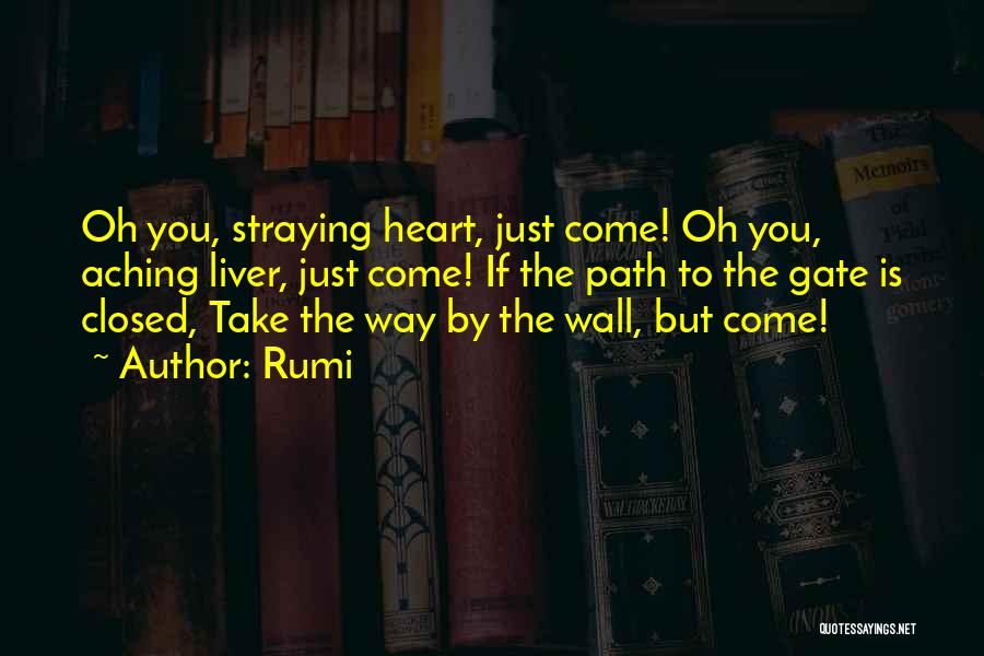 Heart Is Aching Quotes By Rumi