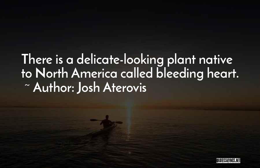 Heart Is Bleeding Quotes By Josh Aterovis