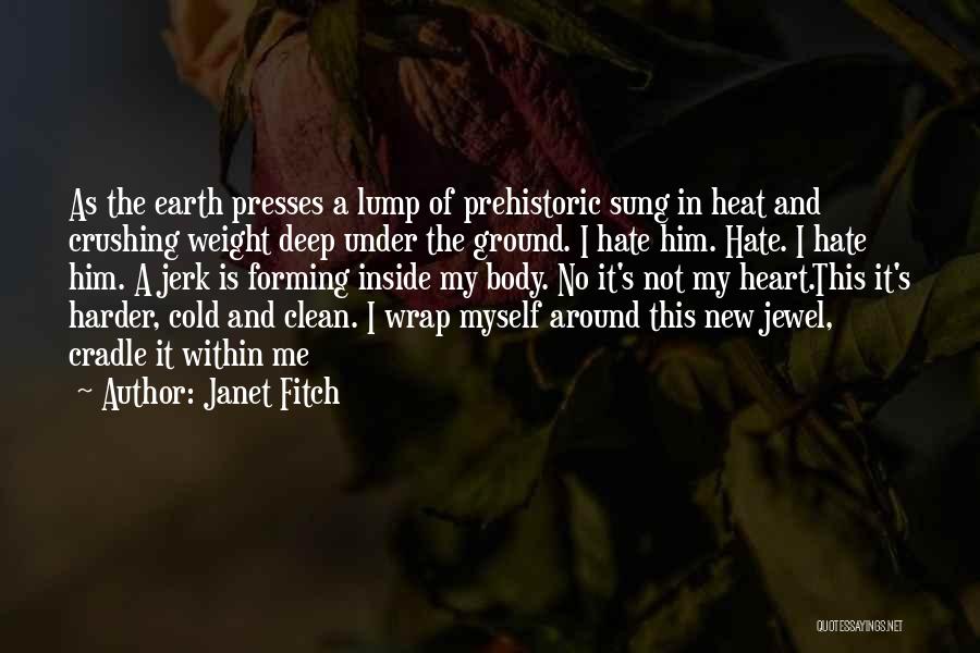 Heart Is Cold Quotes By Janet Fitch