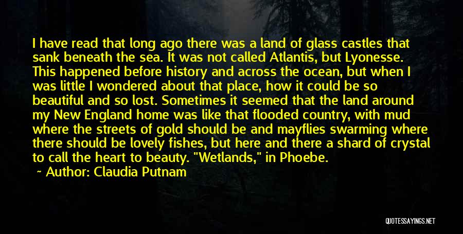 Heart Is Like A Glass Quotes By Claudia Putnam