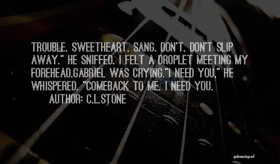 Heart Is Melting Quotes By C.L.Stone