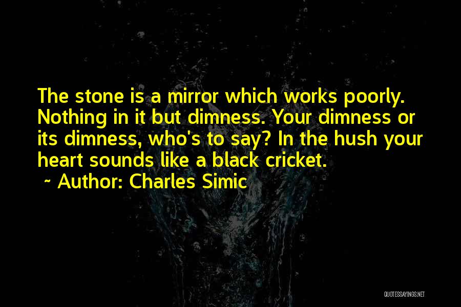 Heart Like Stone Quotes By Charles Simic