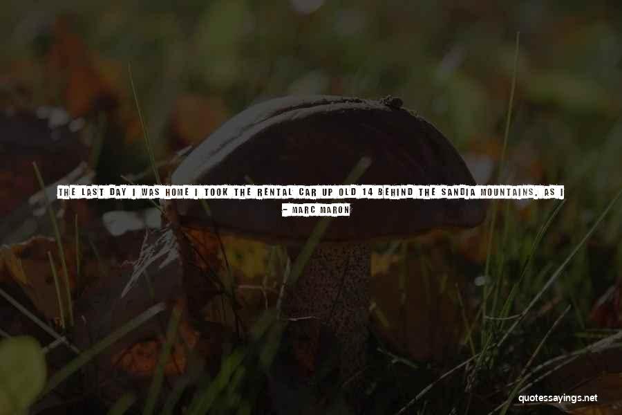 Heart Made Of Gold Quotes By Marc Maron Heart Made Of Gold Quotes By Marc Maron