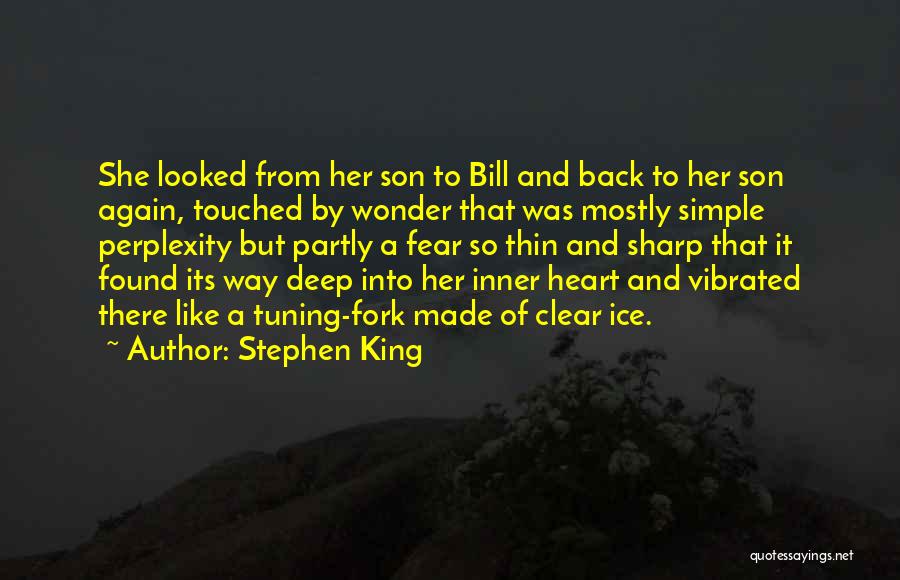Heart Made Of Ice Quotes By Stephen King
