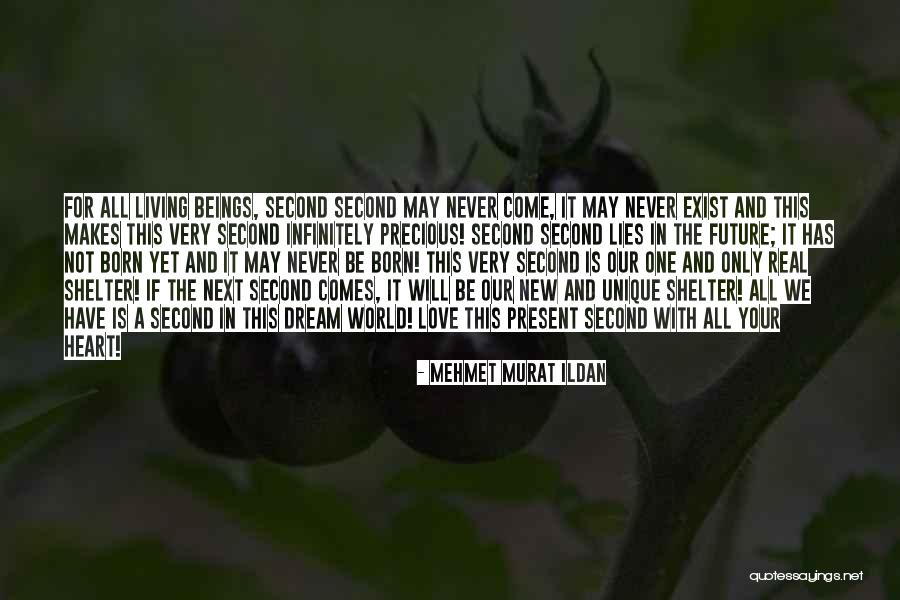 Heart Never Lies Quotes By Mehmet Murat Ildan Heart Never Lies Quotes By Mehmet Murat Ildan